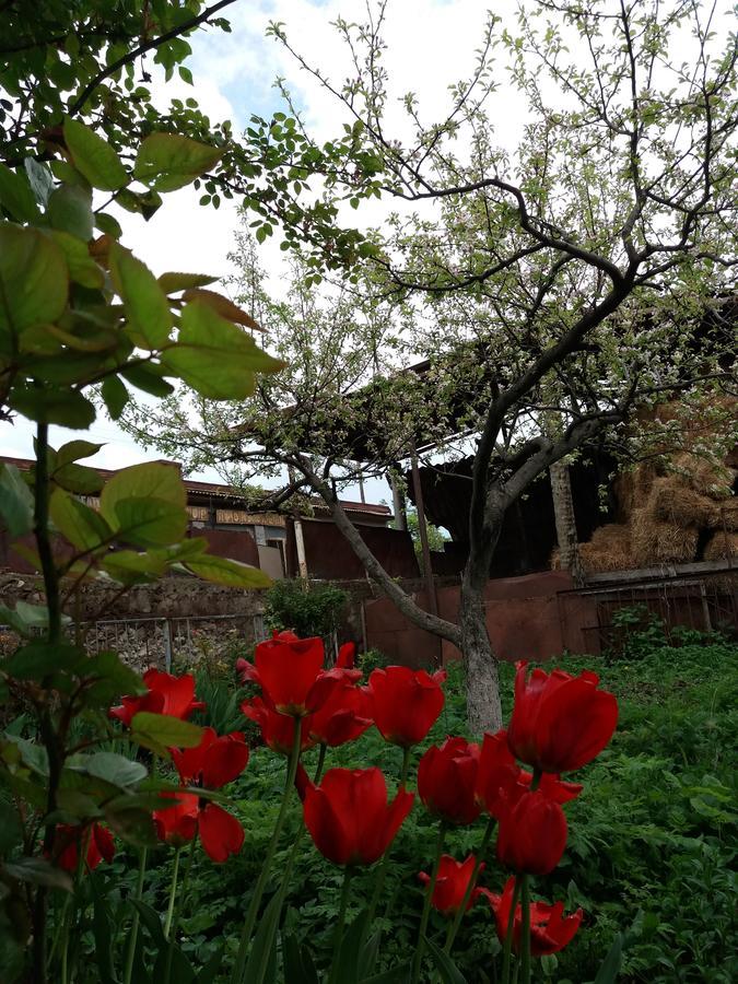 Aida Bed & Breakfast Tatev Exterior foto